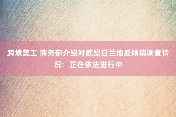 跨境美工 商务部介绍对欧盟白兰地反倾销调查情况：正在依法进行中