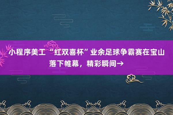 小程序美工 “红双喜杯”业余足球争霸赛在宝山落下帷幕，精彩瞬间→