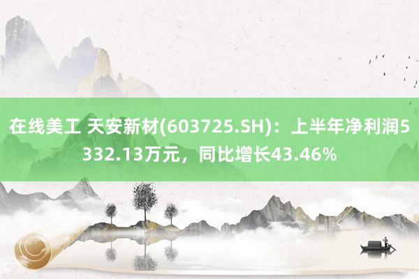 在线美工 天安新材(603725.SH)：上半年净利润5332.13万元，同比增长43.46%